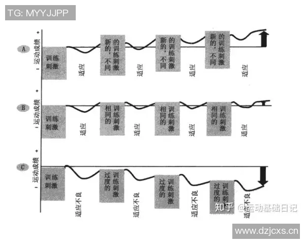 极限运动实力榜单权威发布揭示运动员状态与竞技水平新趋势